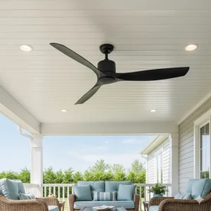 A bold, black 48-inch outdoor ceiling fan with three blades, adding a striking contrast to a light-colored porch ceiling.