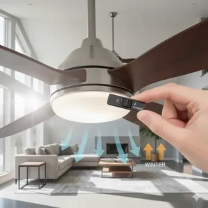Diagram showing the reversible motor switch on a high-efficiency 52-inch ceiling fan, used for summer cooling and winter heat circulation.