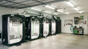 A home garage converted into a cultivation space cooled by a portable AC for grow tent.