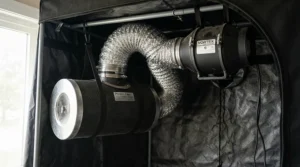An inline fan for grow tent connected directly to a carbon filter for odor control