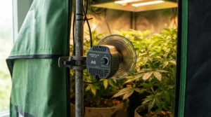 An oscillating fan for grow tent securely clipped to a metal pole, providing essential grow tent circulation fan action.
