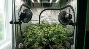 Dual oscillating fan for grow tent units working together for maximum airflow and balanced temperature control.